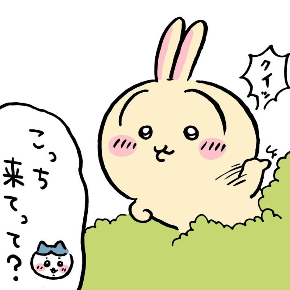 うさぎ