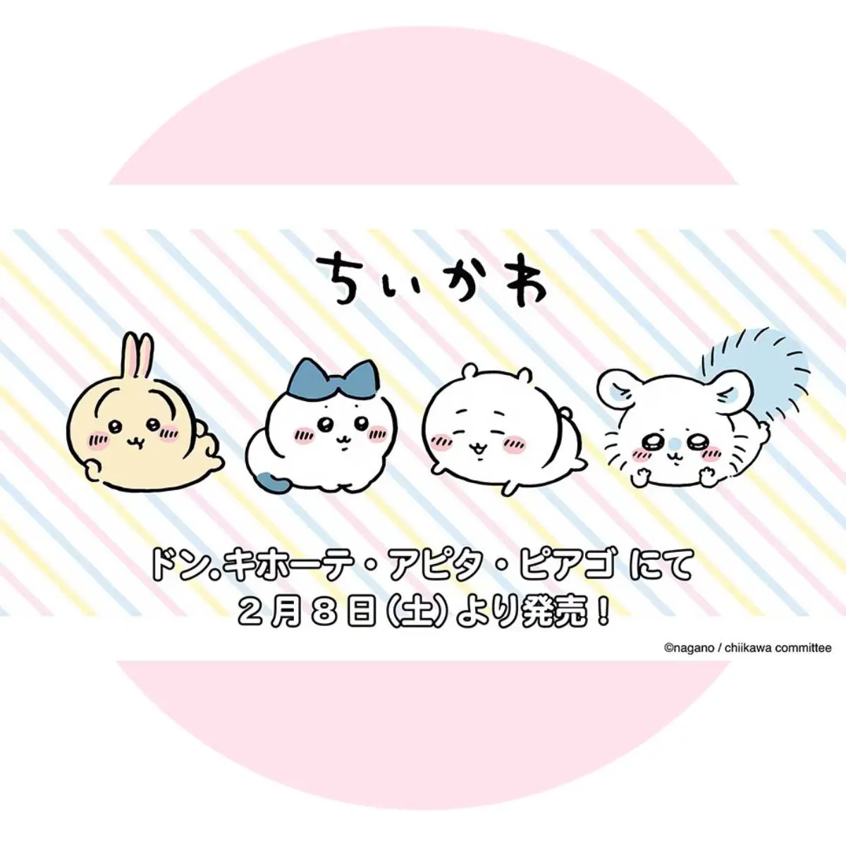 2/8（土）ちいかわ大人アパレル商品が全国のドン・キホーテ