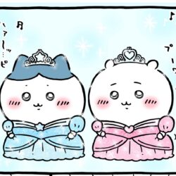 ちいかわハチワレ誕生日