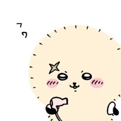 ラッコ先生