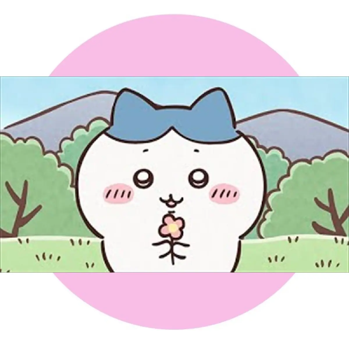 ふわふわの手触りに癒される♪ちいかわ・ハチワレ・うさぎの
