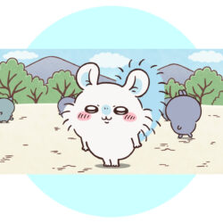 chiikawaanime2025080101