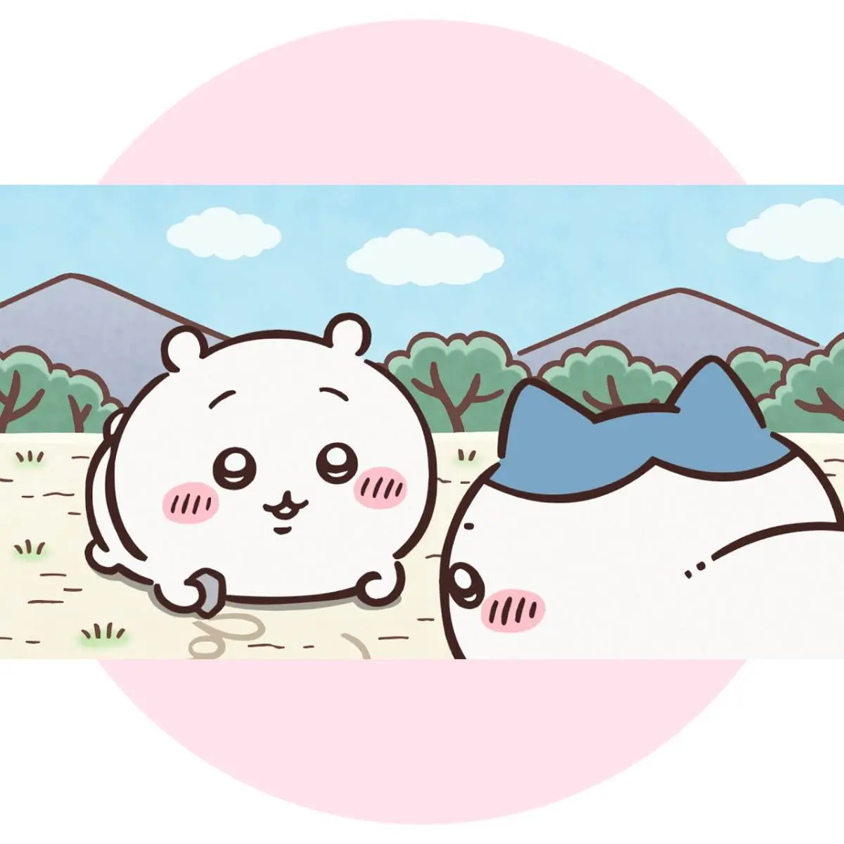 ふわふわの手触りに癒される♪ちいかわ・ハチワレ・うさぎの