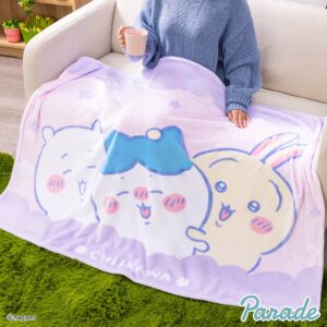 超BIGマイヤーブランケット