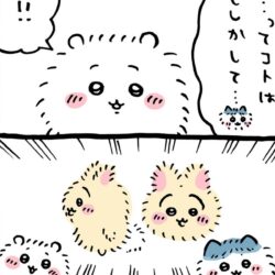 2025-11-11T235046.994_R