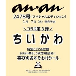 2025-11-28T001736.088_R