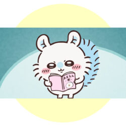 【12月30日まで】アニメ「ちいかわ」第304話│ついに登場!モモンガと仲良く接する古本屋ちゃん chiikawaanime2025122301