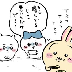 【ちいかわマンガ】心霊写真の正体は…まさかのうさぎ!?意味深ダブルピースに読者困惑! 000100021002