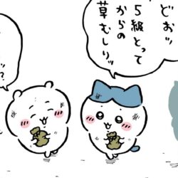 【ちいかわマンガ】草むしり検定5級合格で報酬は増えた?ちいハチの労働回 0002000240001